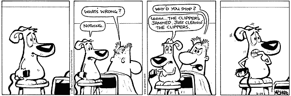 citizendog